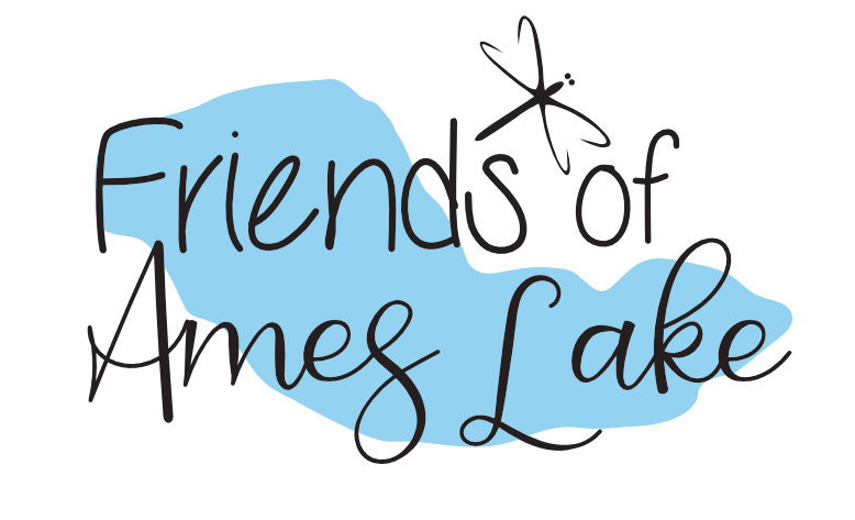 Friends of Ames Lake